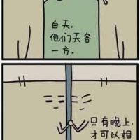 窗帘的爱情