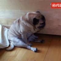 一秒进入睡眠状态