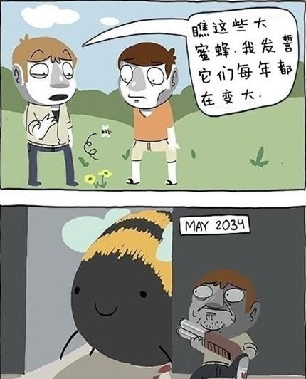 你们有没有发现蜜蜂一年比一年大