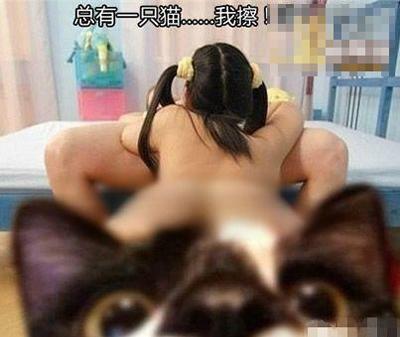 小猫 乖 死开！！！