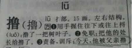 例句解释何为撸？