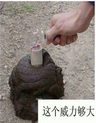 这威力够大